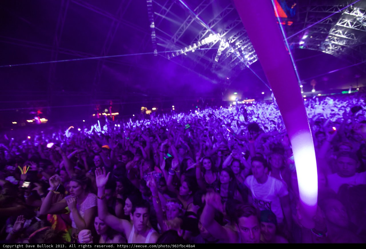 Purple Haze at Coachella