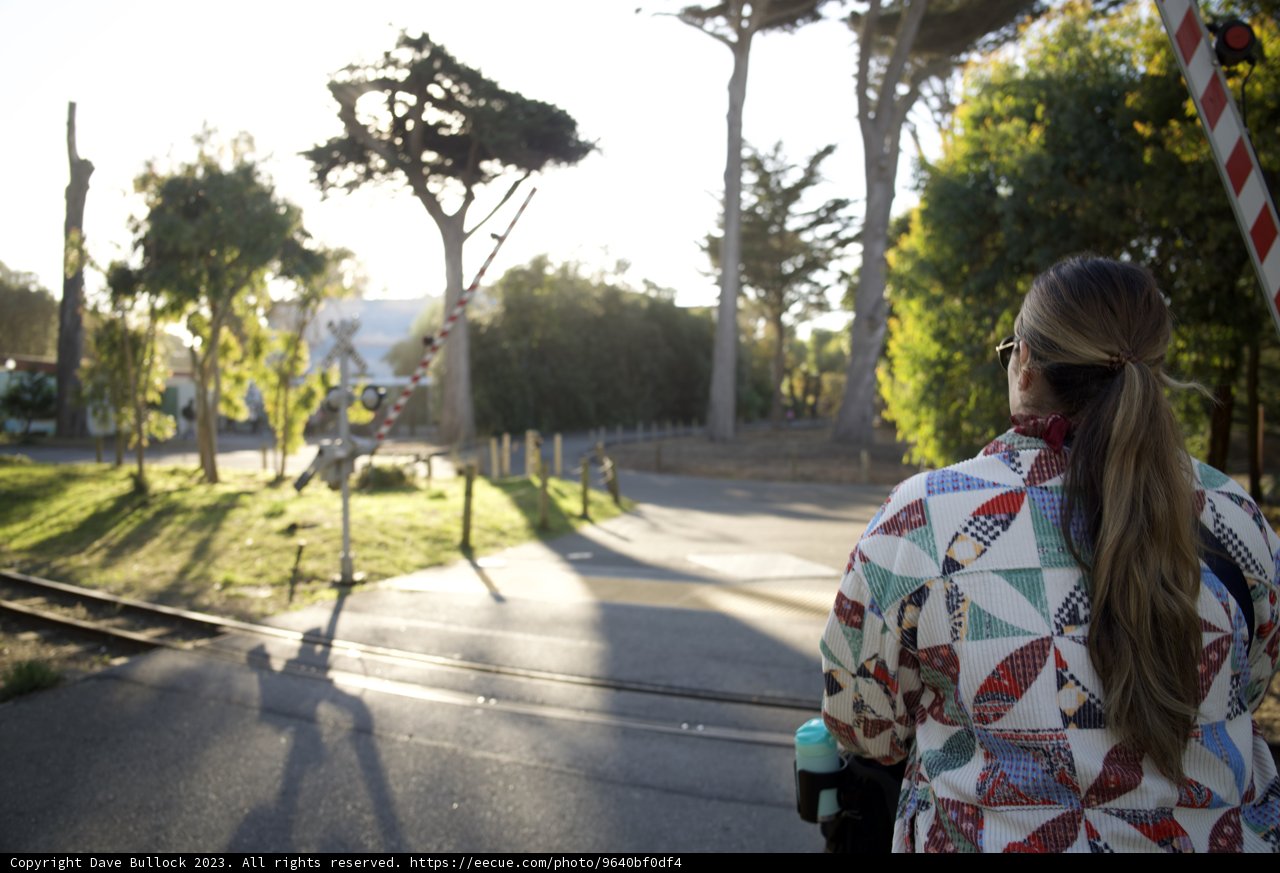 The Colorful Stroll: An Urban Fashion in Harmony with Nature