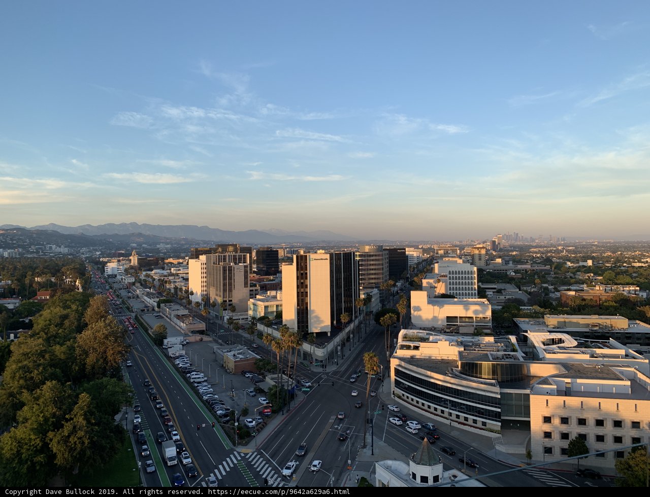 Above the Urban Jungle