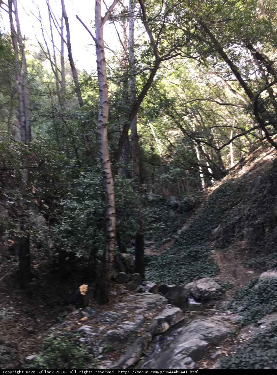 Into the Wilderness
