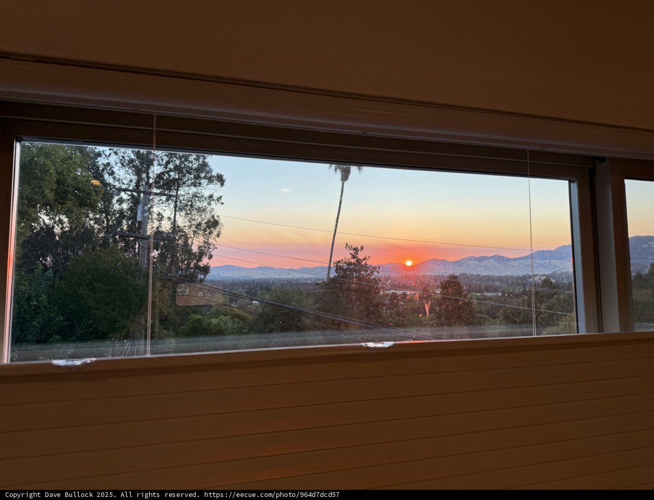 Golden Horizons