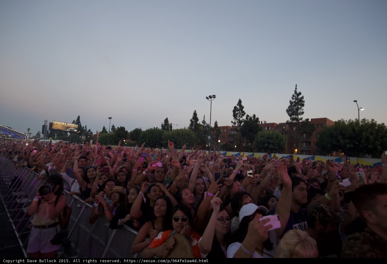 Barricade Crowd Sunglasses Woman
