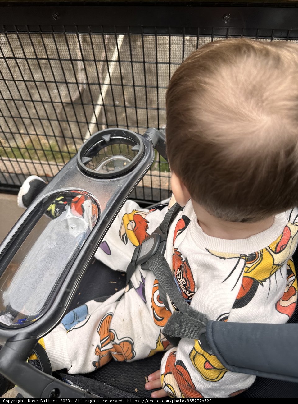 Curious Minds: Baby's Day Out at Oakland Zoo