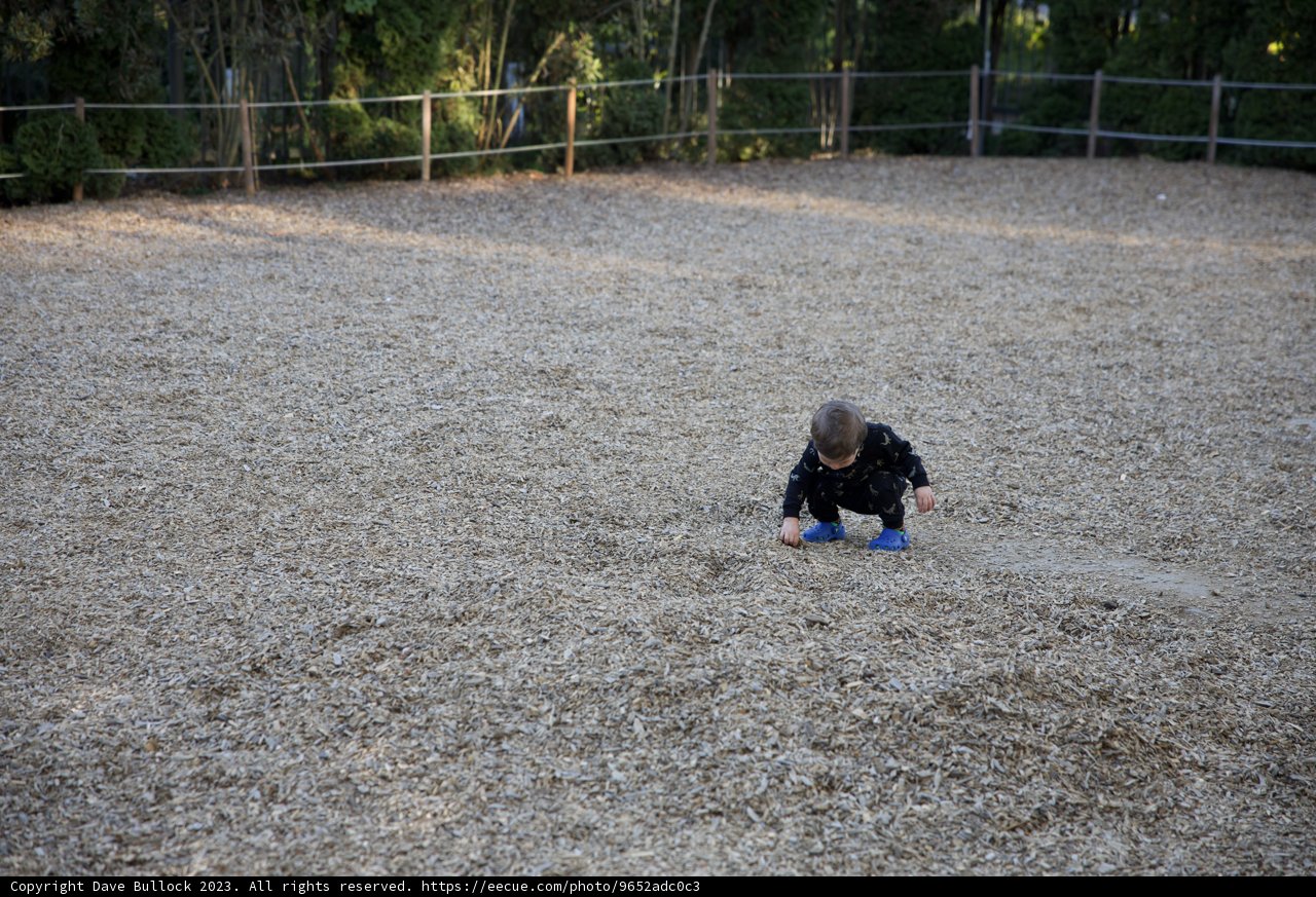 Innocence Carved on Sand