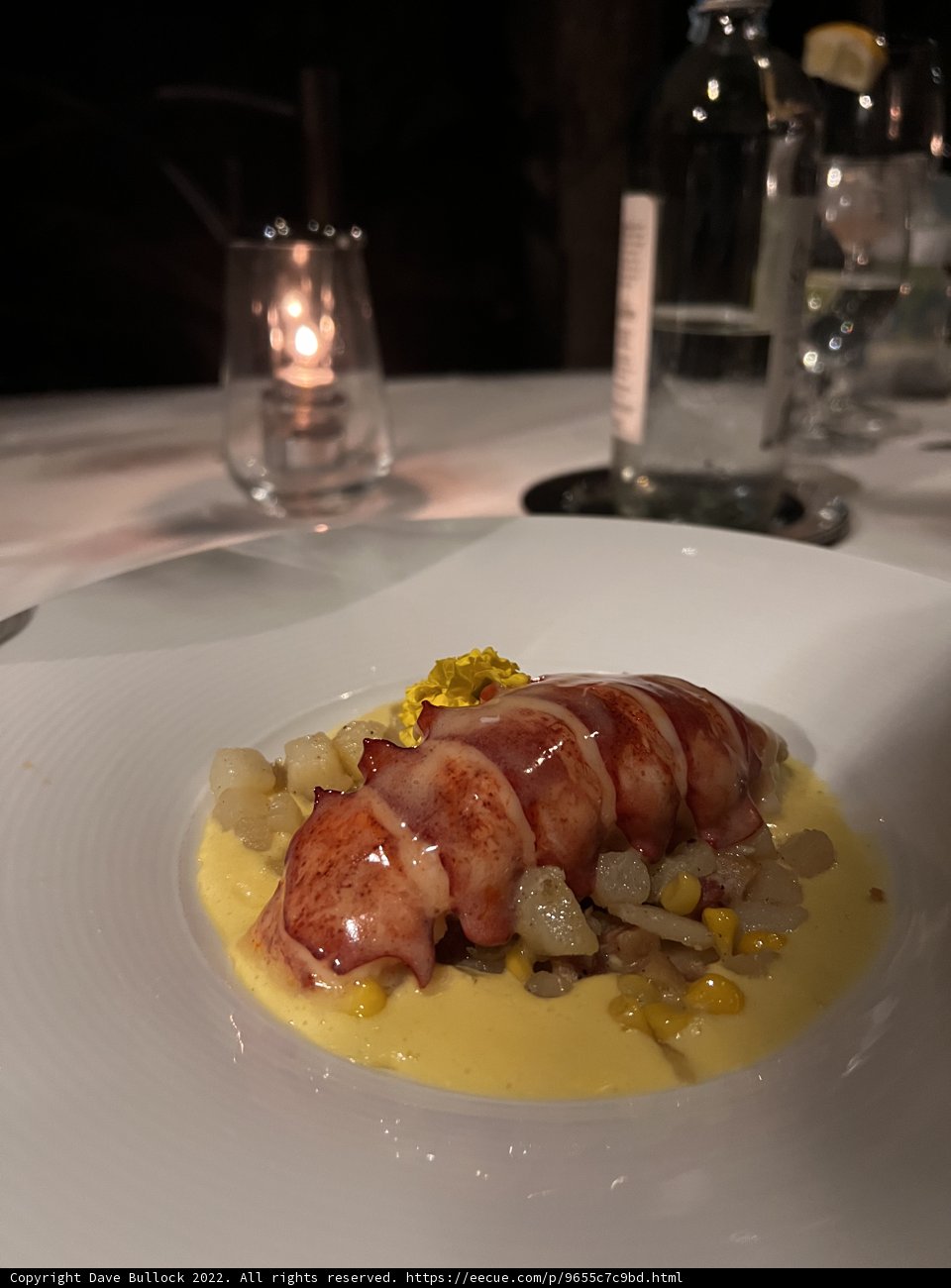 Lobster Delight by Candlelight