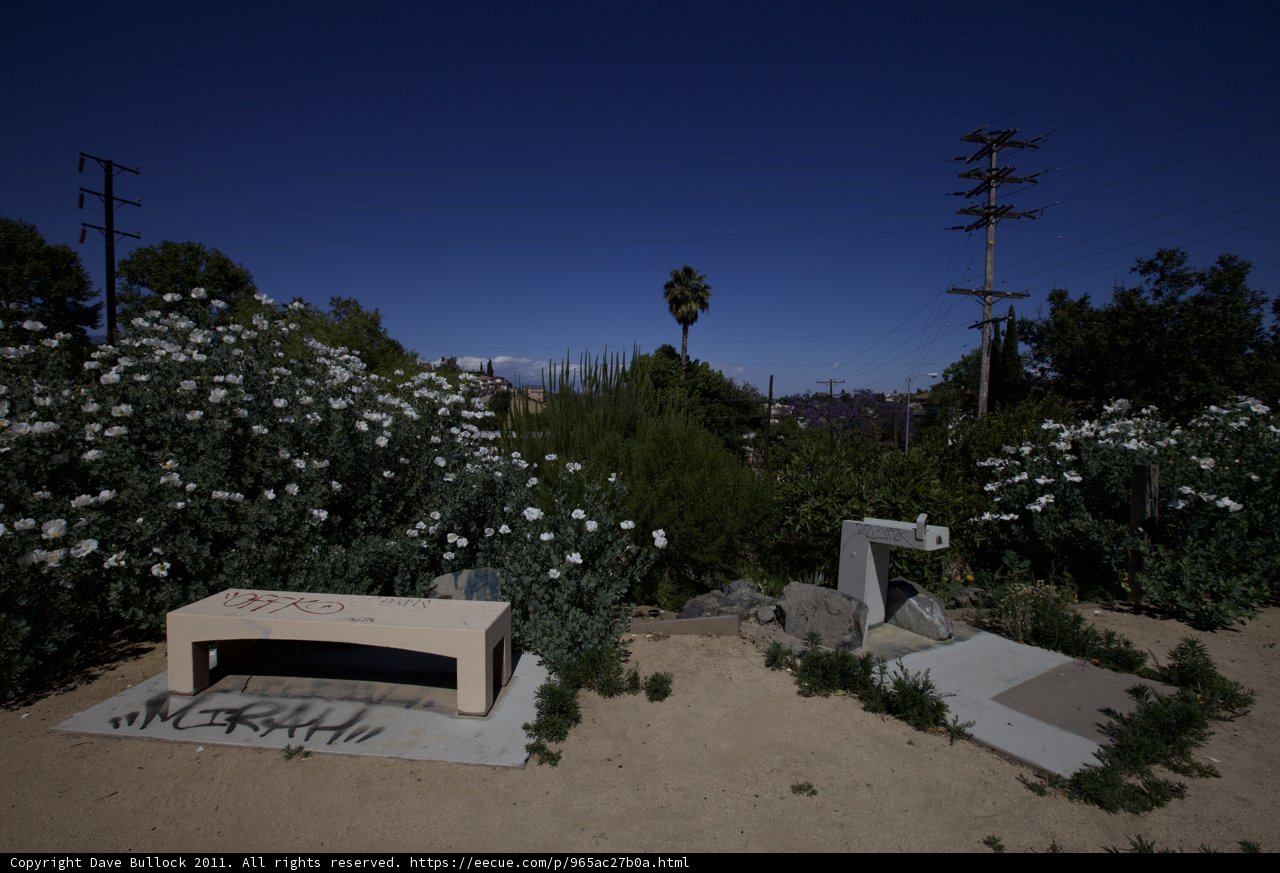 Desert Oasis