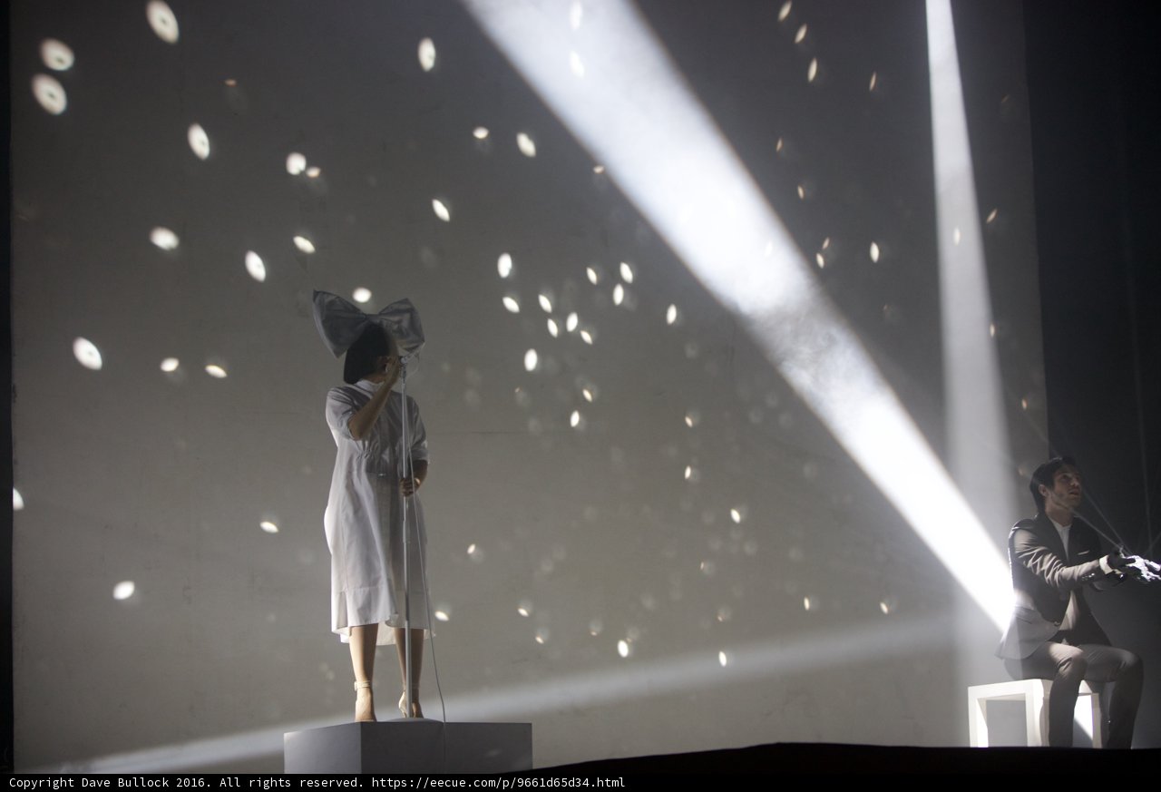 Spotlight on the Performers