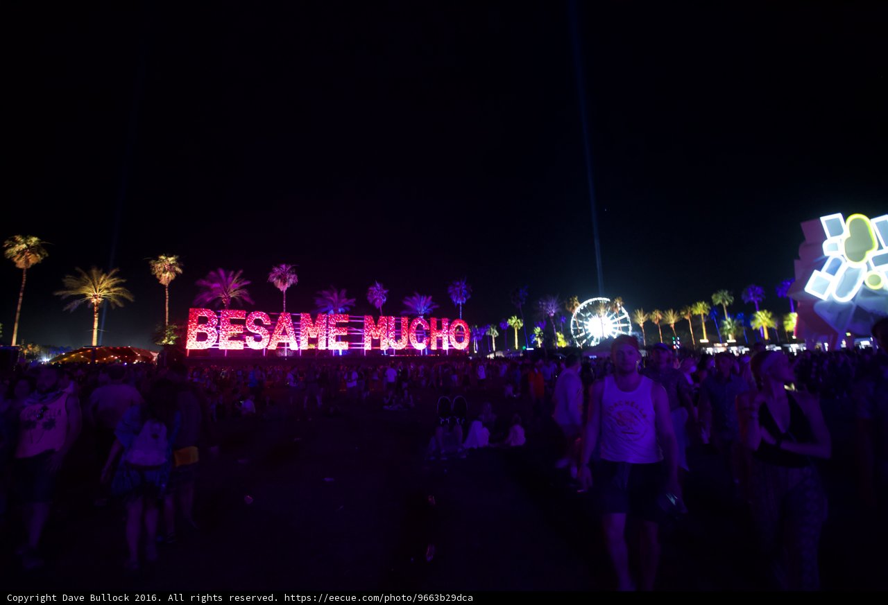 Nighttime Crowd Gathers in Front of "Because" Sign