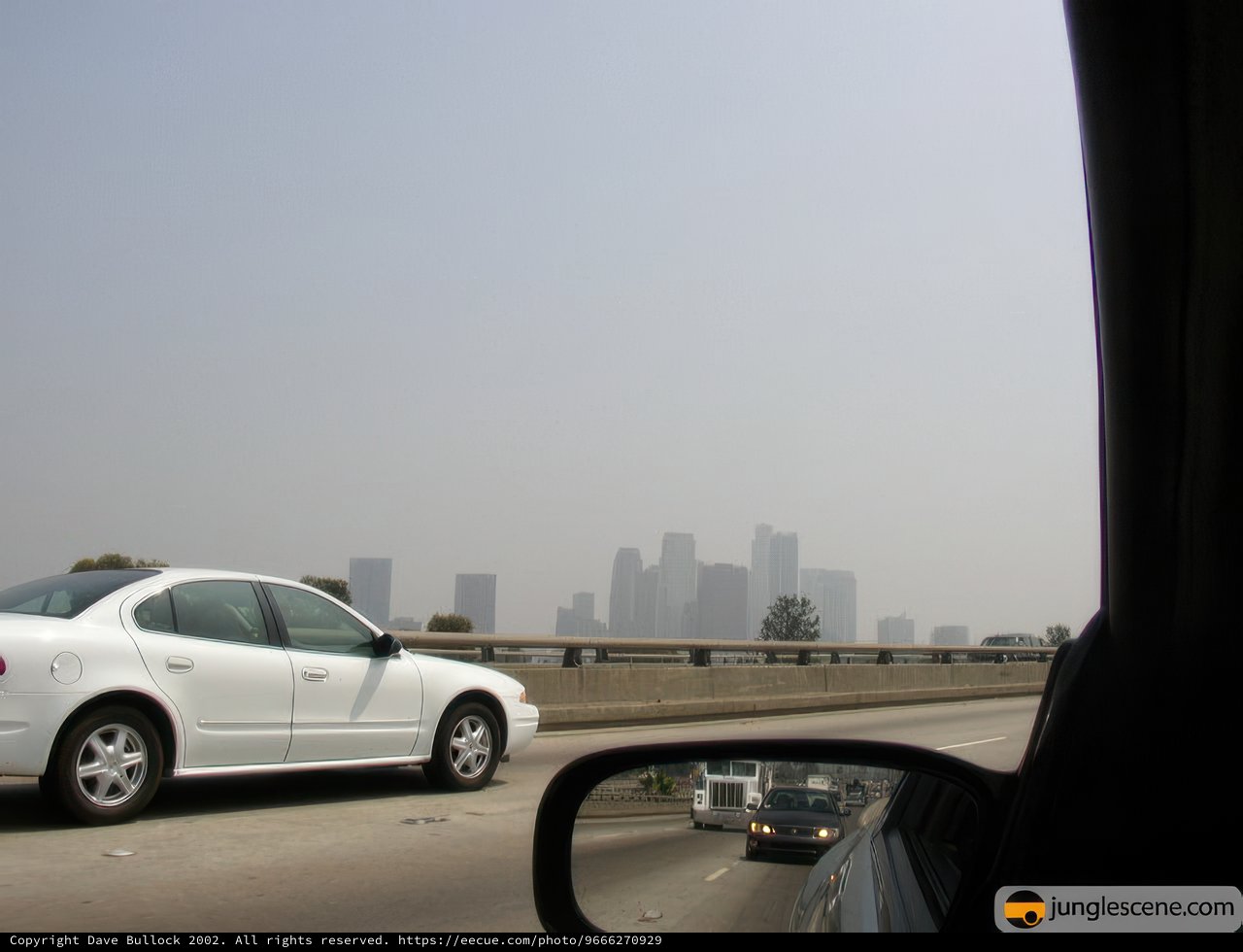 On the Freeway
