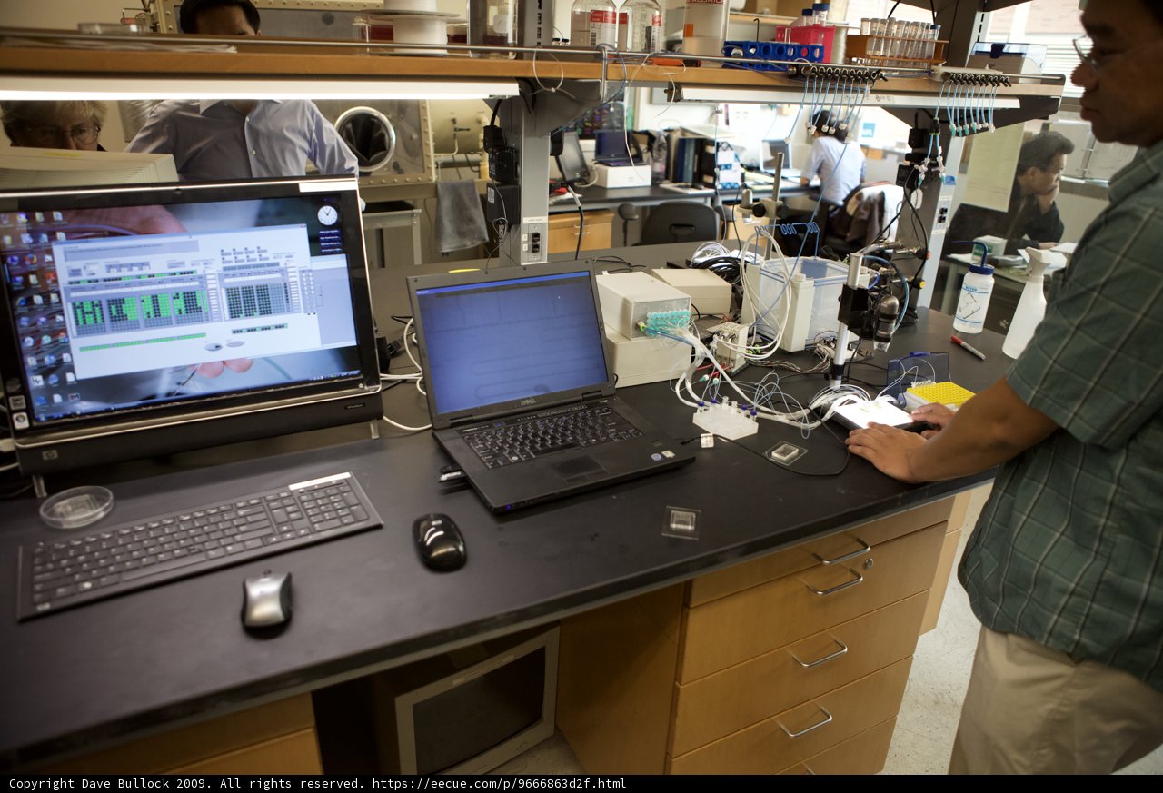 A Day in the Life of a Micro Bio Chip Scientist