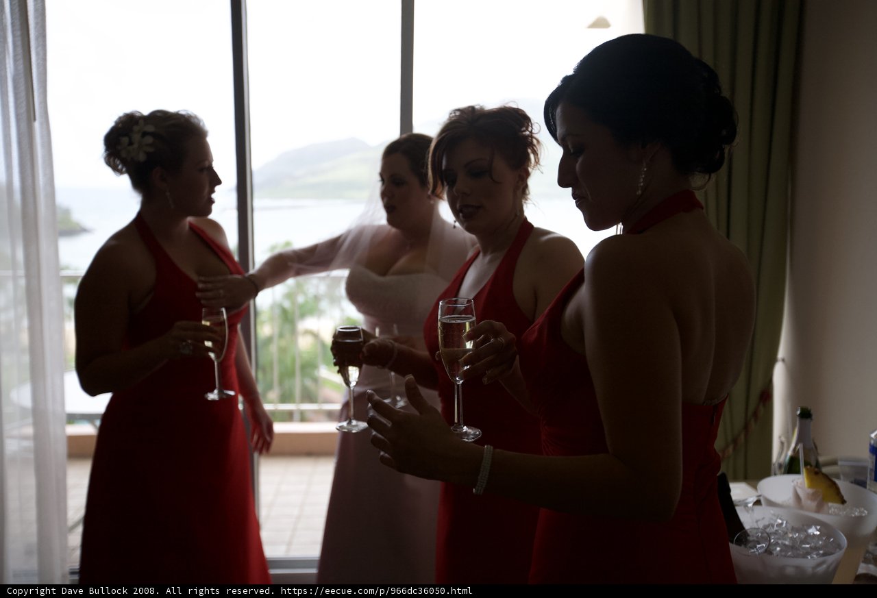 Red-Dressed Bridesmaids Toast to the Bride