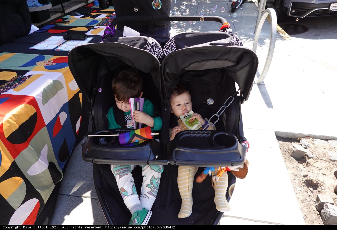 Stroller Adventures