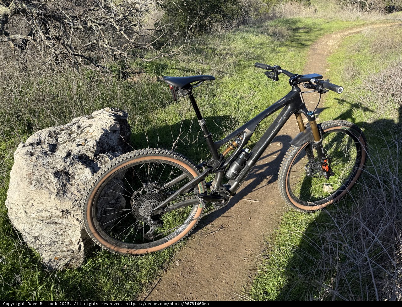 Trail Companion at Lime Ridge