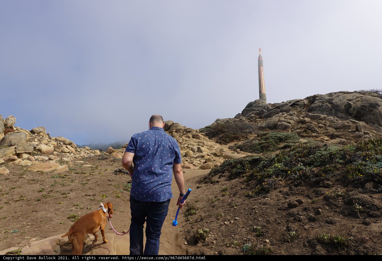 Towering Trails