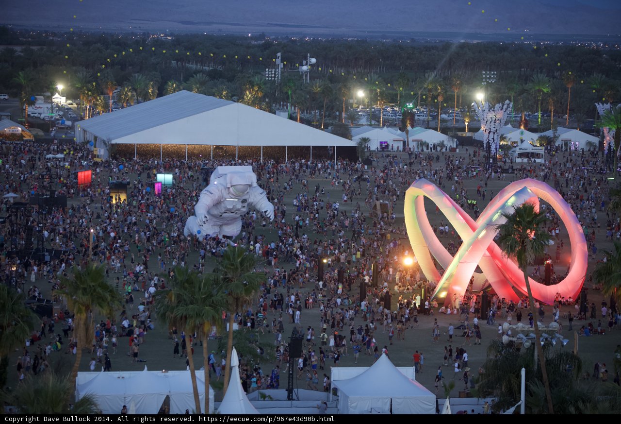 Festival Frenzy