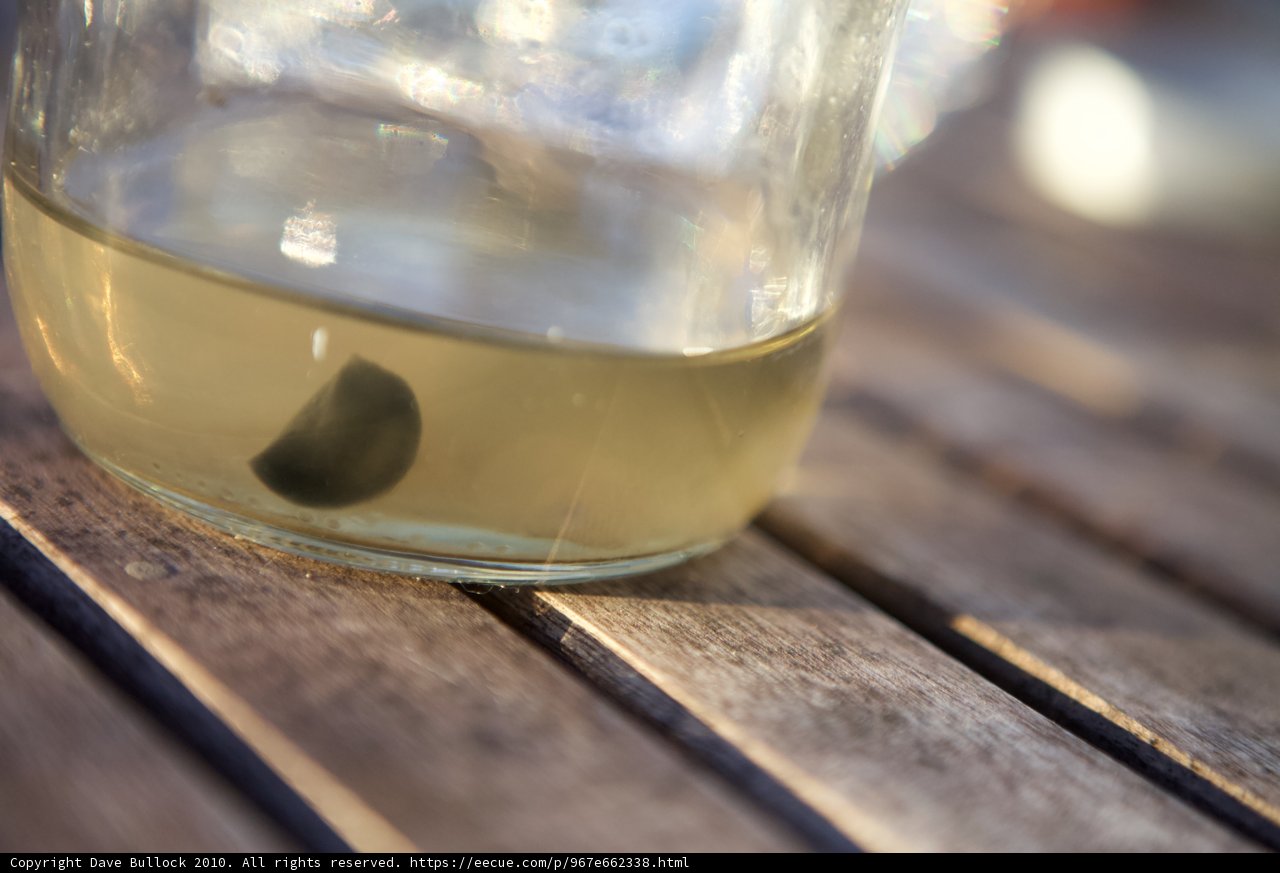 Black Object in a Glass Jar
