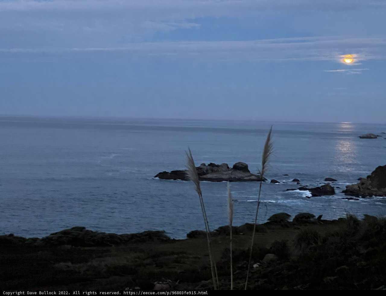 Moonlit Coastline