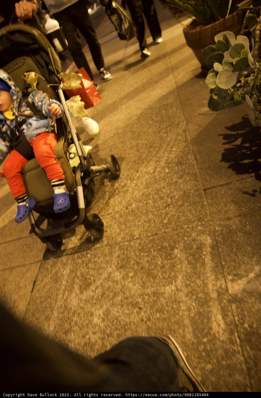 Baby's Day Out, Downtown Sonoma, 2023