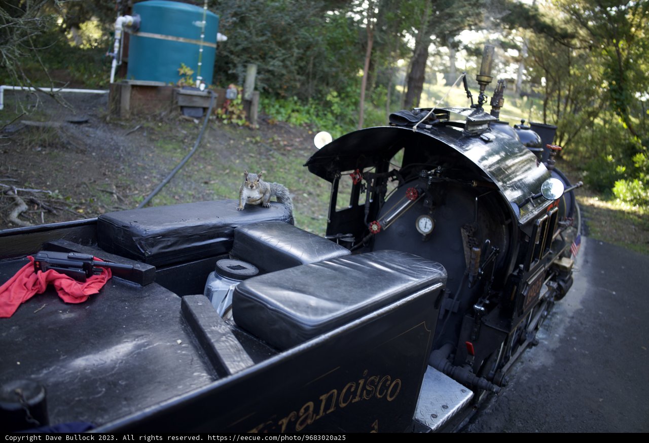Antique Engine Brilliance at the SF Zoo