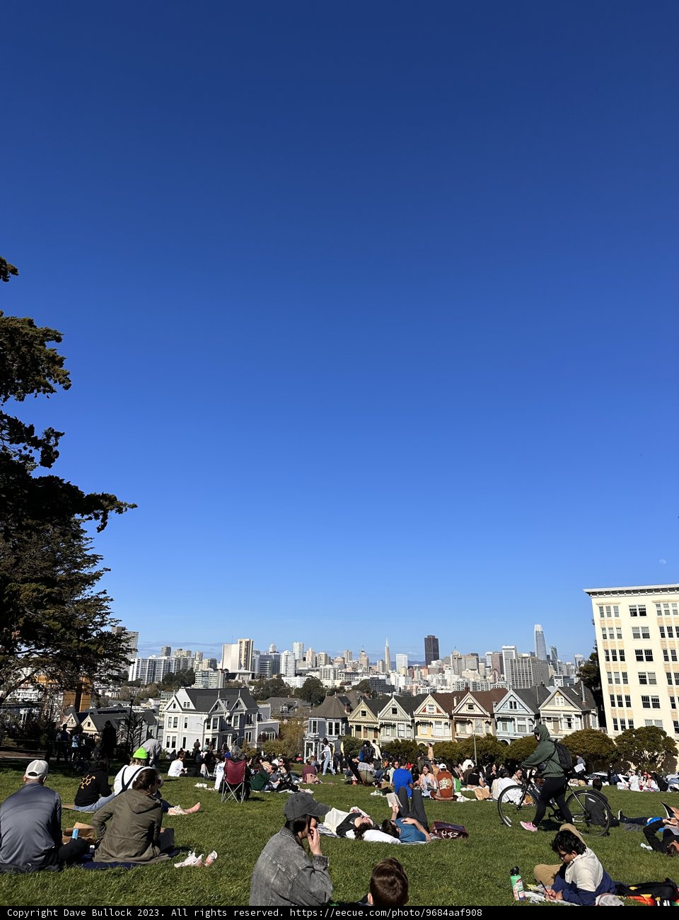 A Sunny Afternoon Gathering in Alamo Square