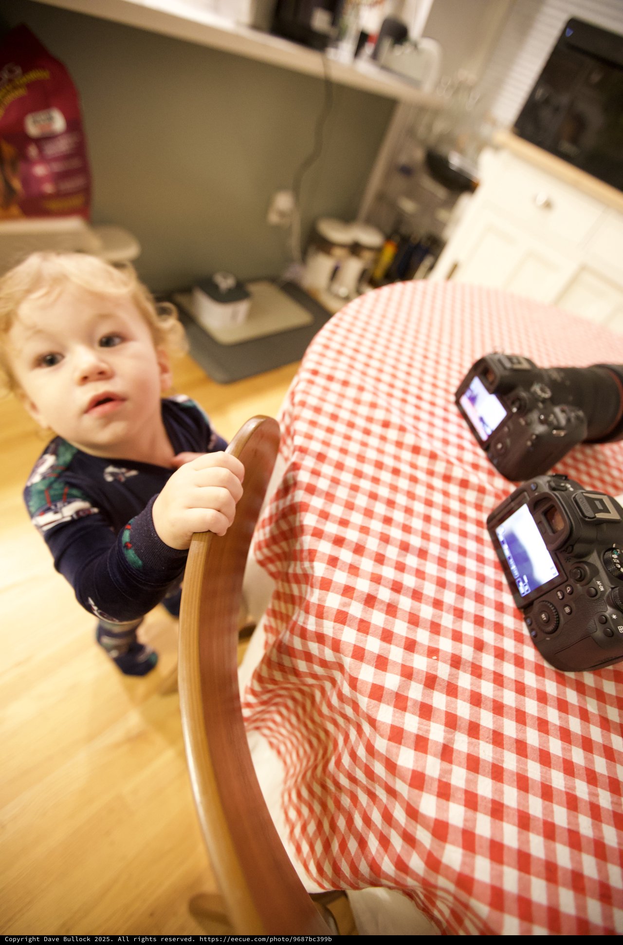 Curious Toddler Helper in Kitchen During Christmas Morning