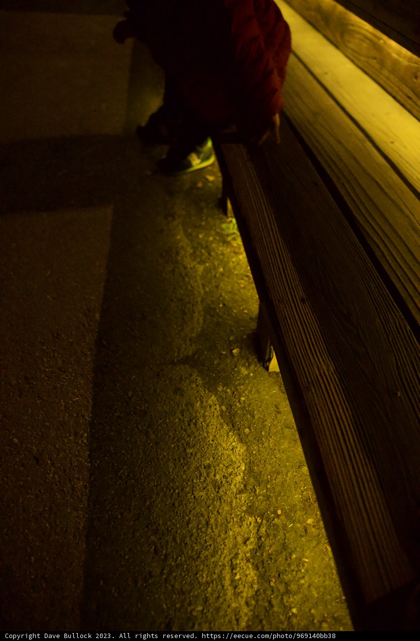 Starlight Stance on Big Sur Bench