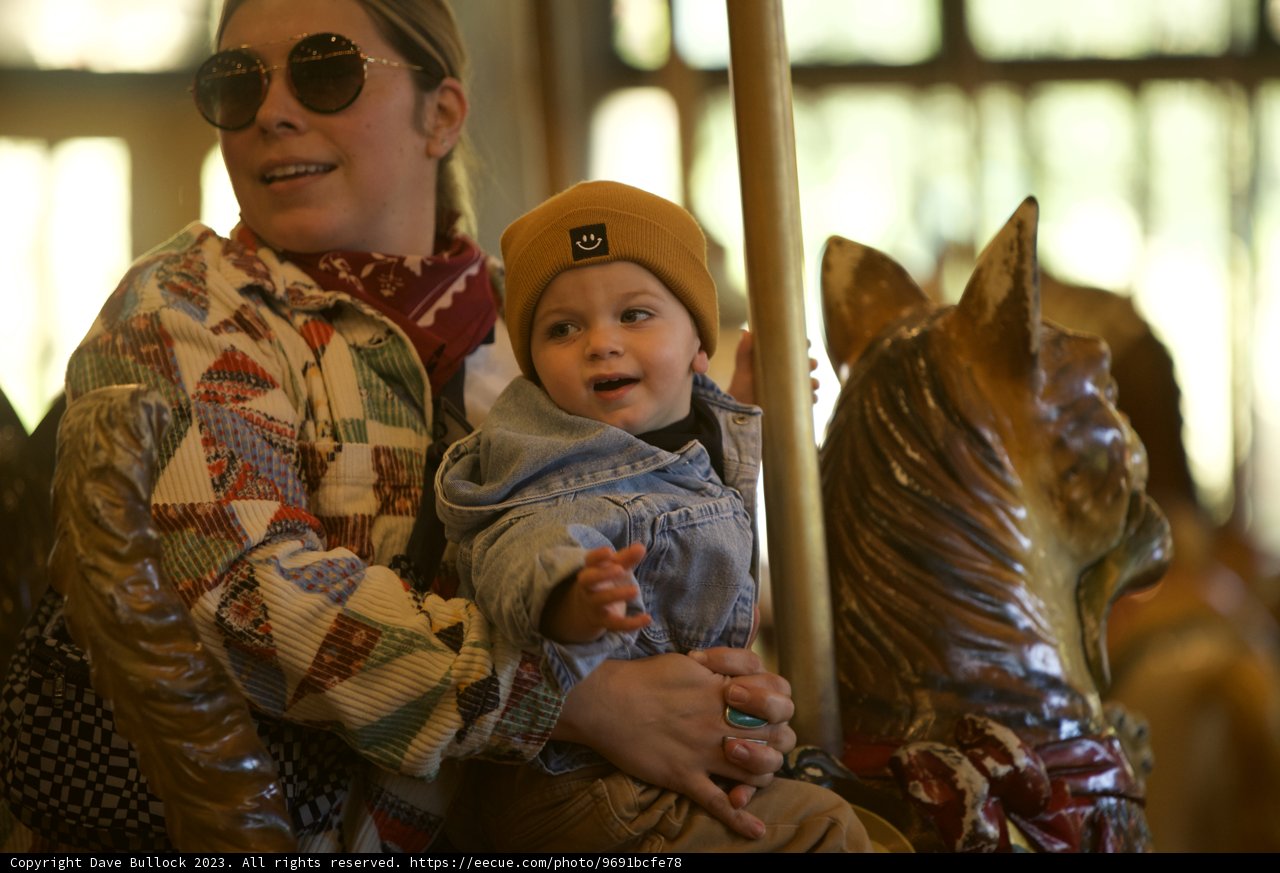 Delightful Day at the Carousel