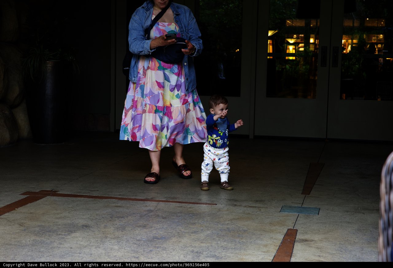 A Stroll at Disneyland