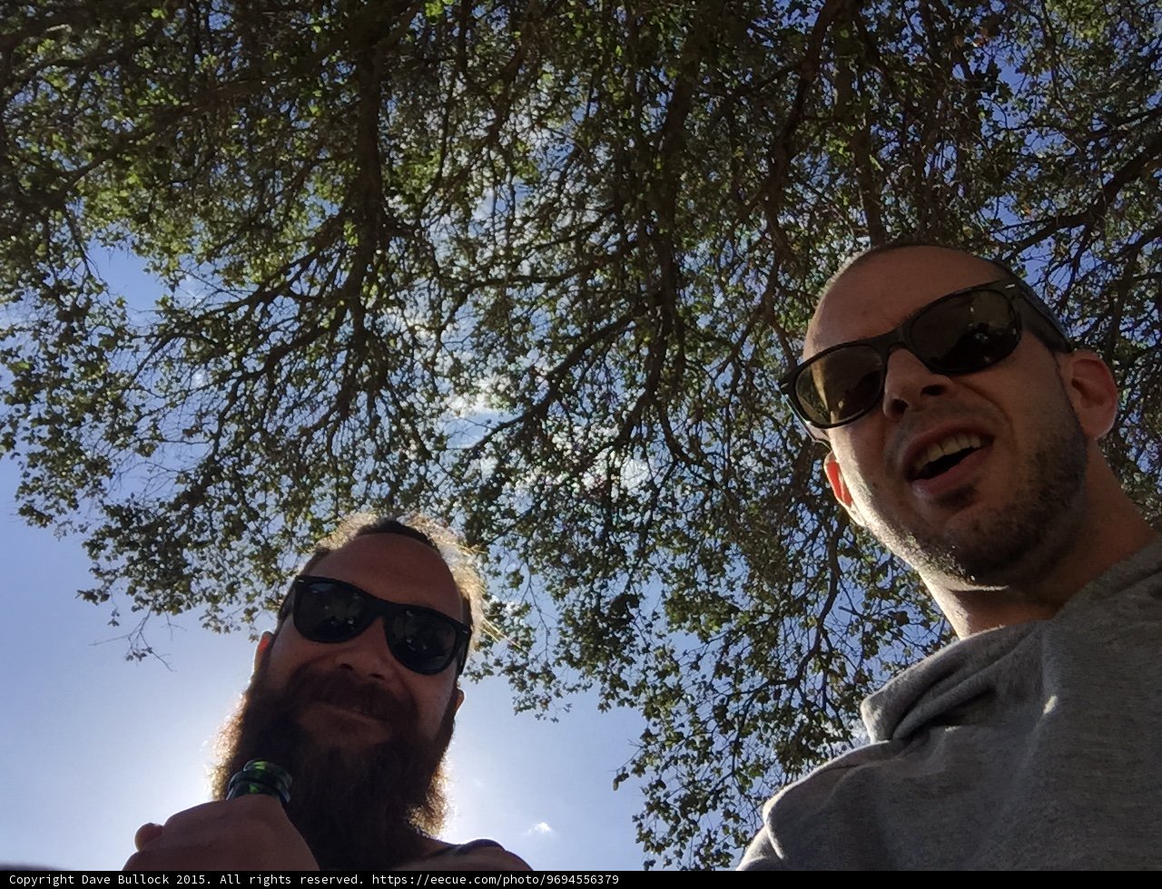 Under the Tree