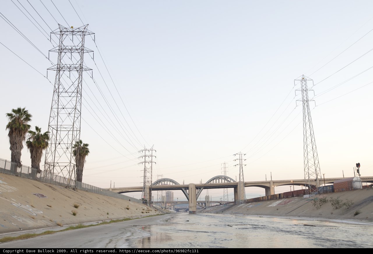 Riverside Palm Trees and Bridges