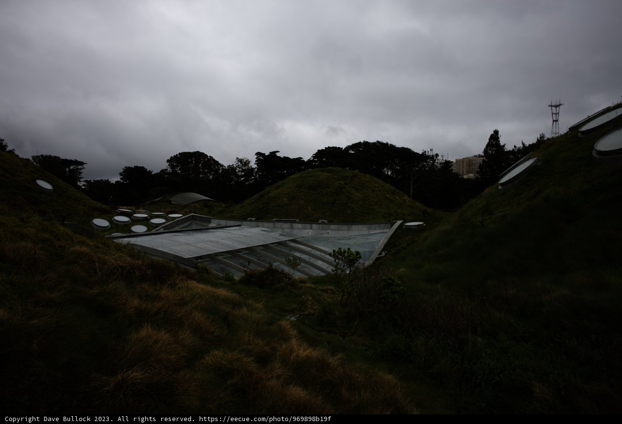 The Lush Green Roof of New Zealand National Museum