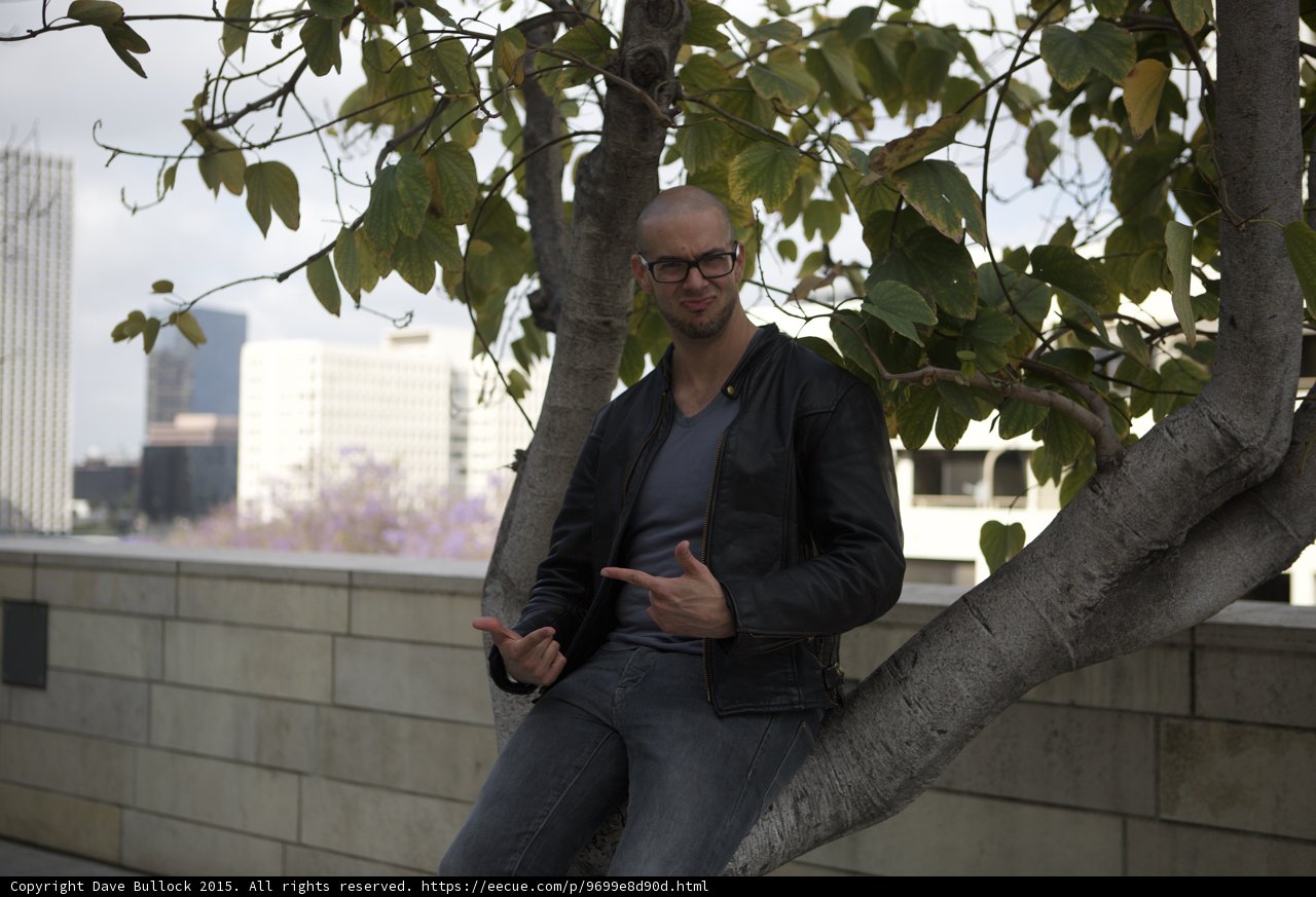 Sitting in Tree Gesturing