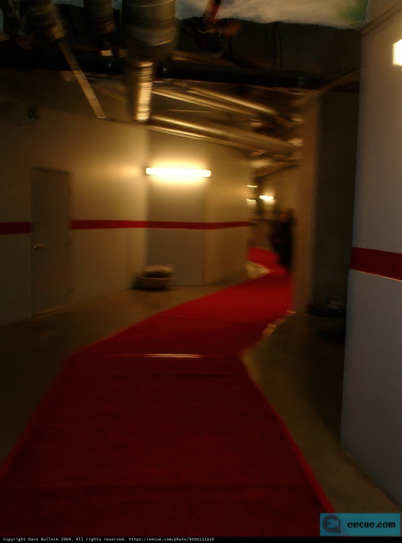 Fashion Premiere on the Red Carpet