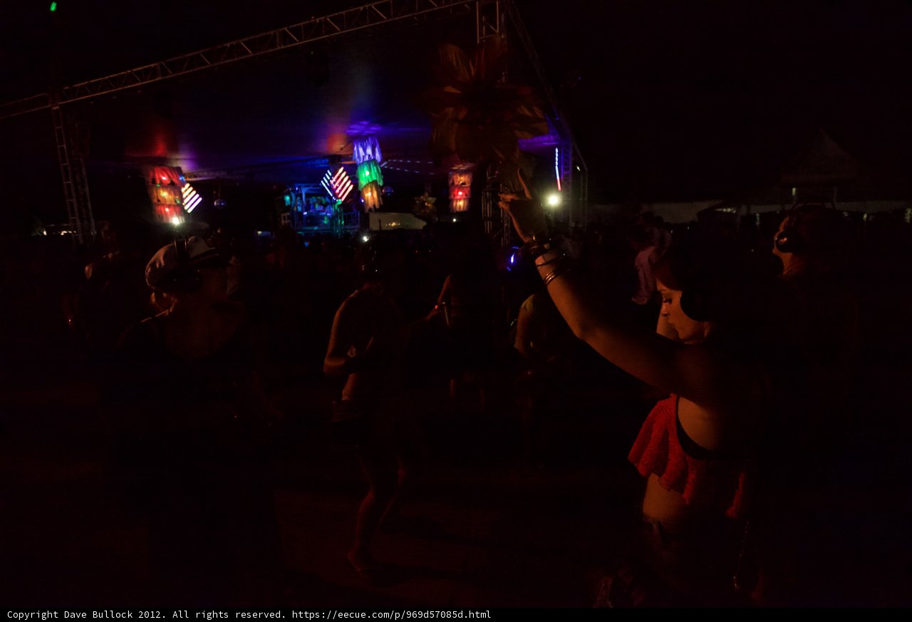 Dancing the Night Away at Coachella Festival