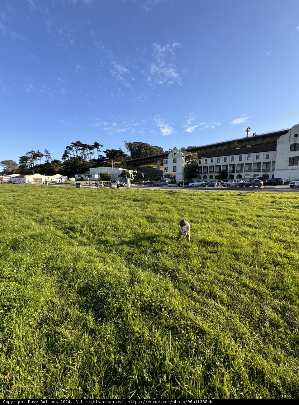 A Joyous Moment at Presidio