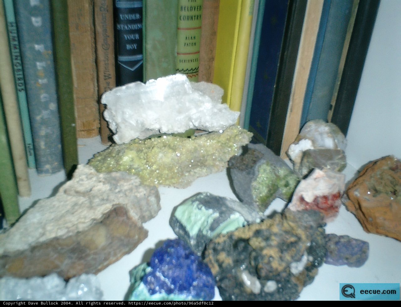 Treasures from the Earth