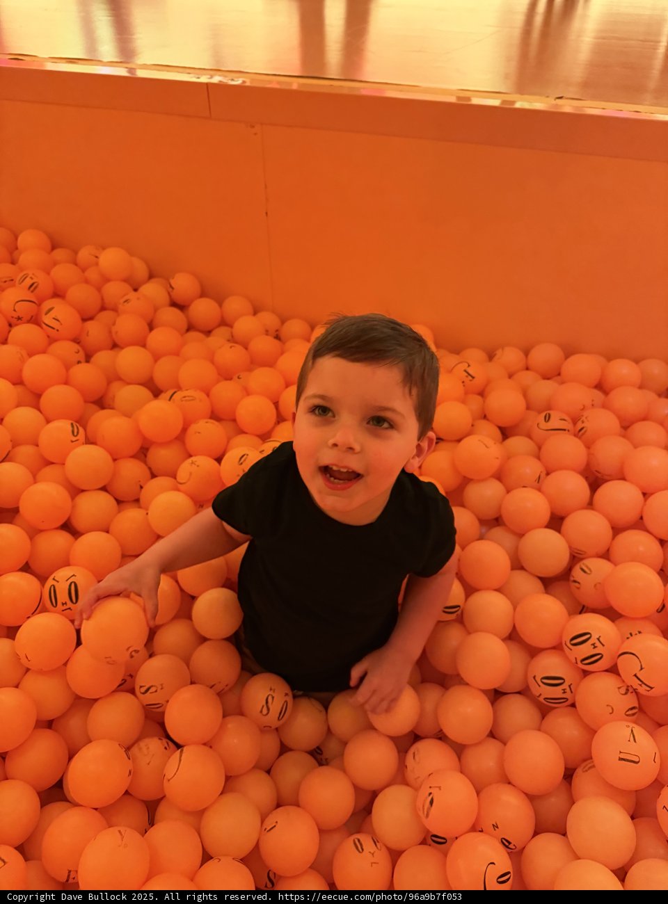 Joyful Exploration in a Sea of Orange
