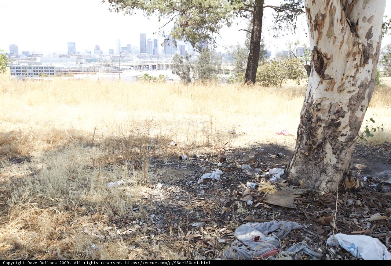 The Tree of Pollution
