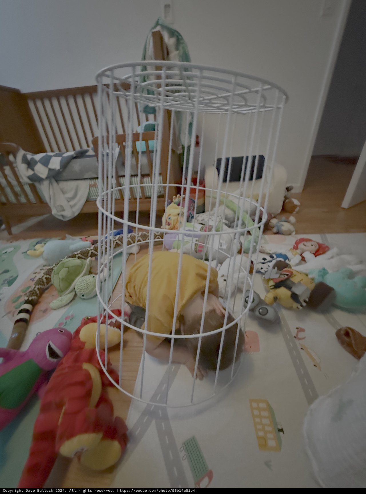 Baby in White Wire Playpen Surrounded by Toys