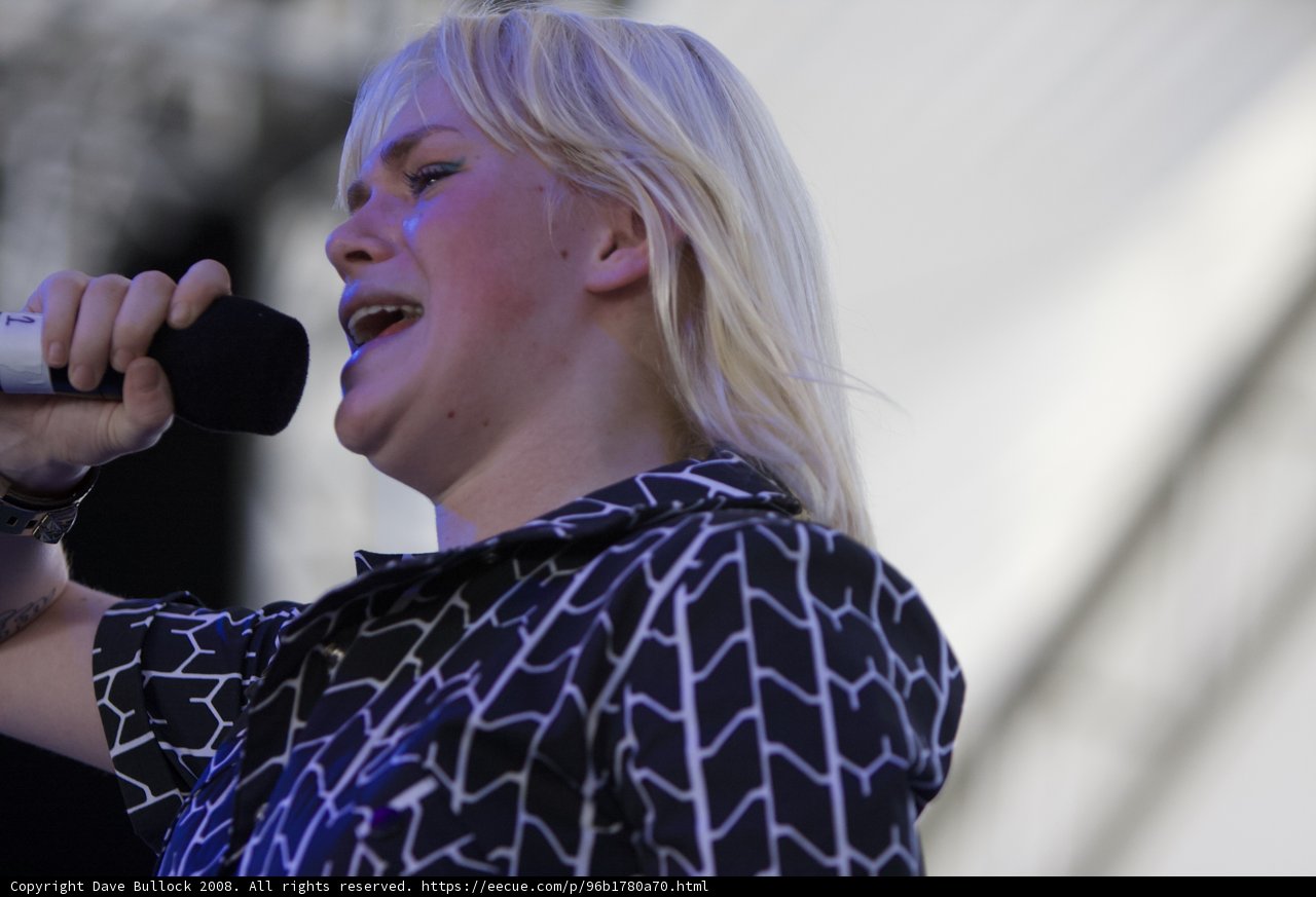 Coachella 2008 Performance