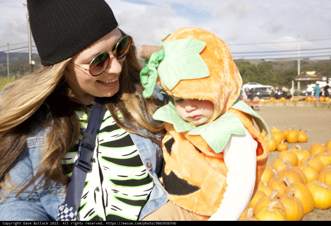 Cherished Moments at Halfmoon Bay Pumpkin Patch