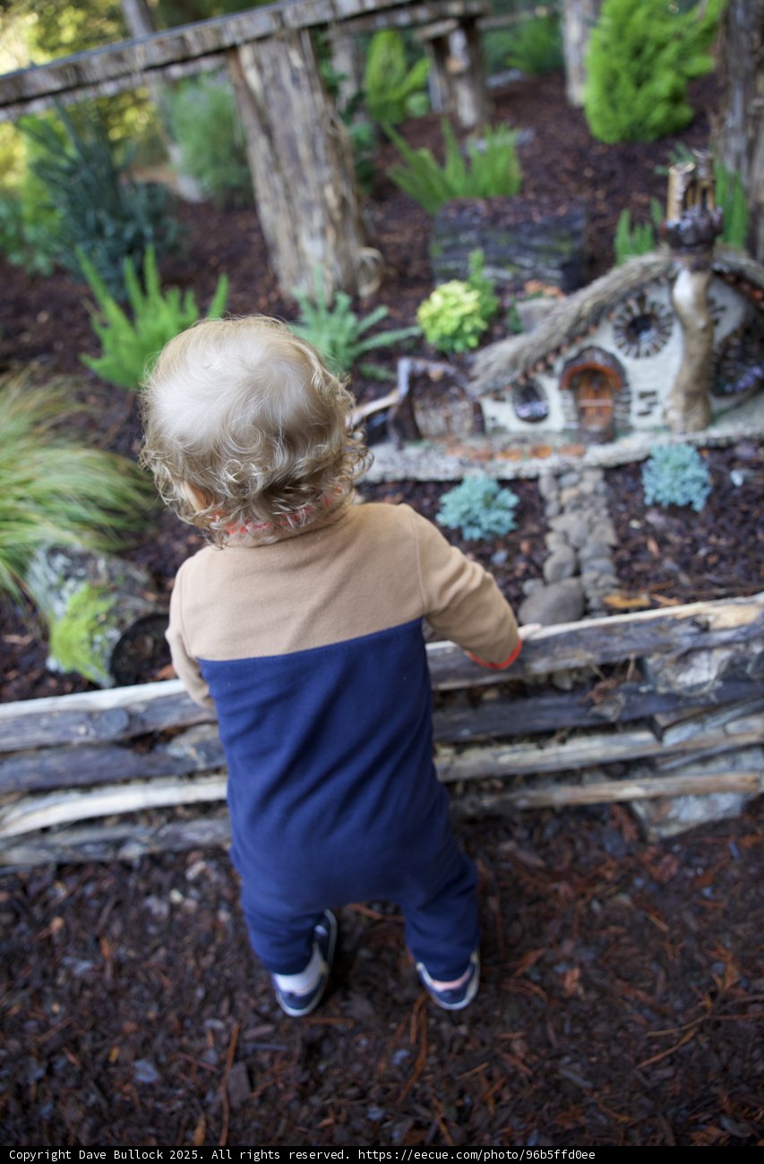 Enchanted Discovery in Thistlewyck