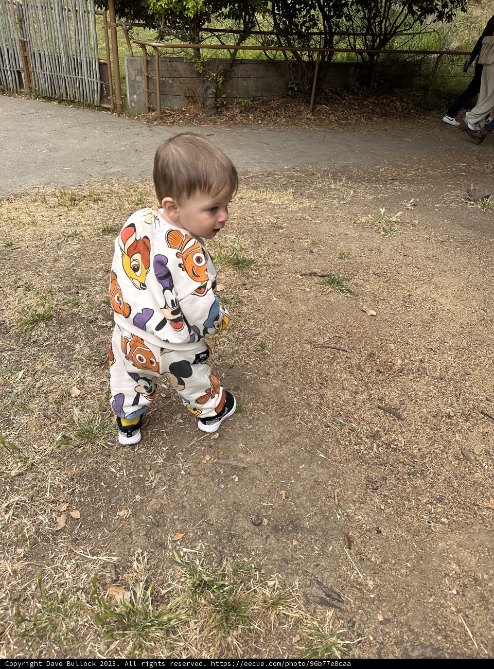 First Steps: A Journey Begins