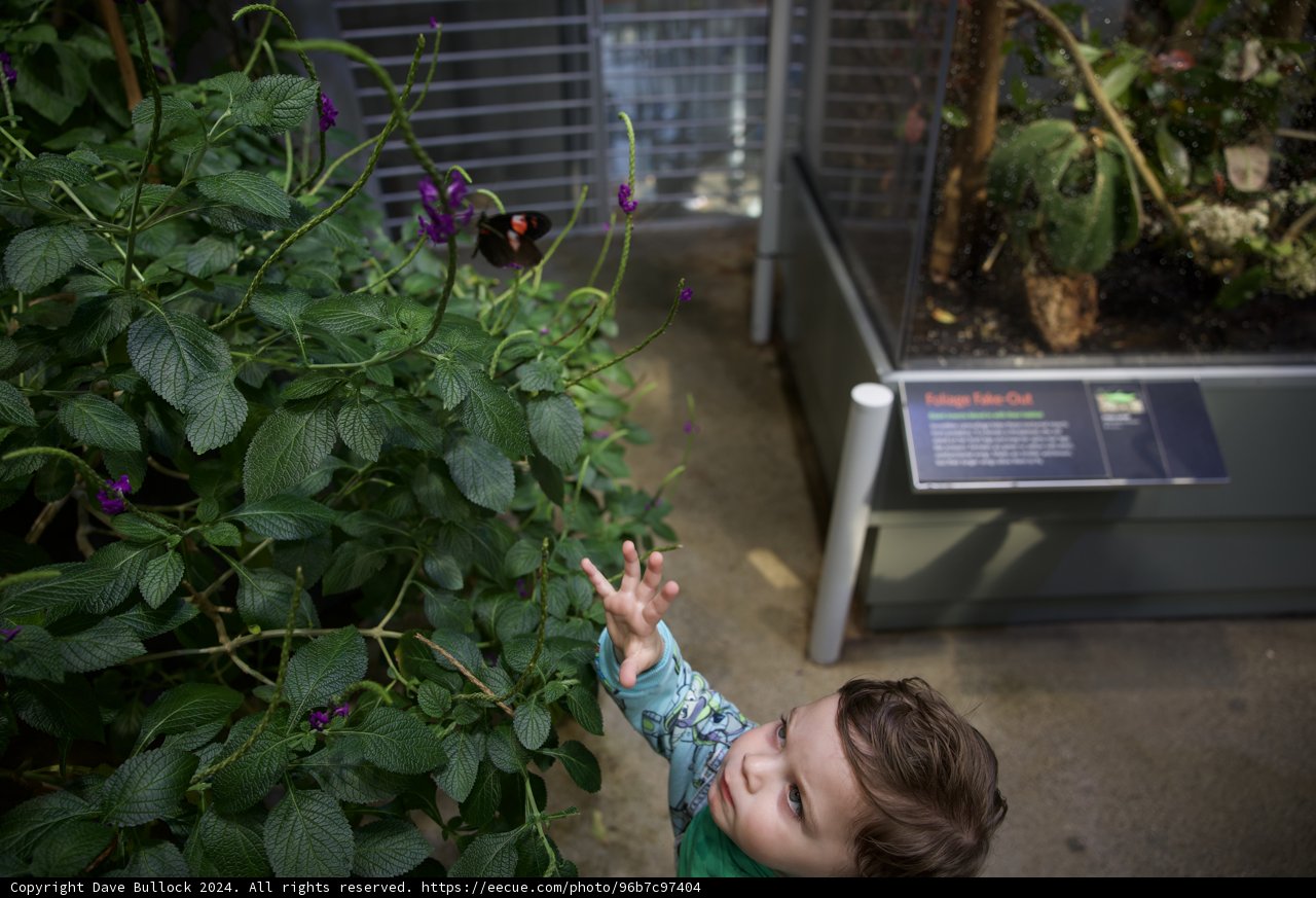 The Magic of Nature - A Child's Discovery