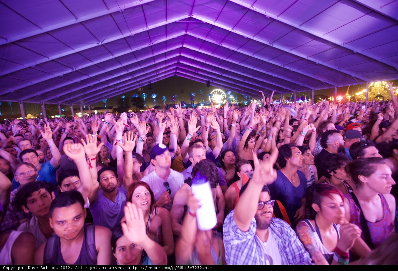 Electric Crowd at Coachella