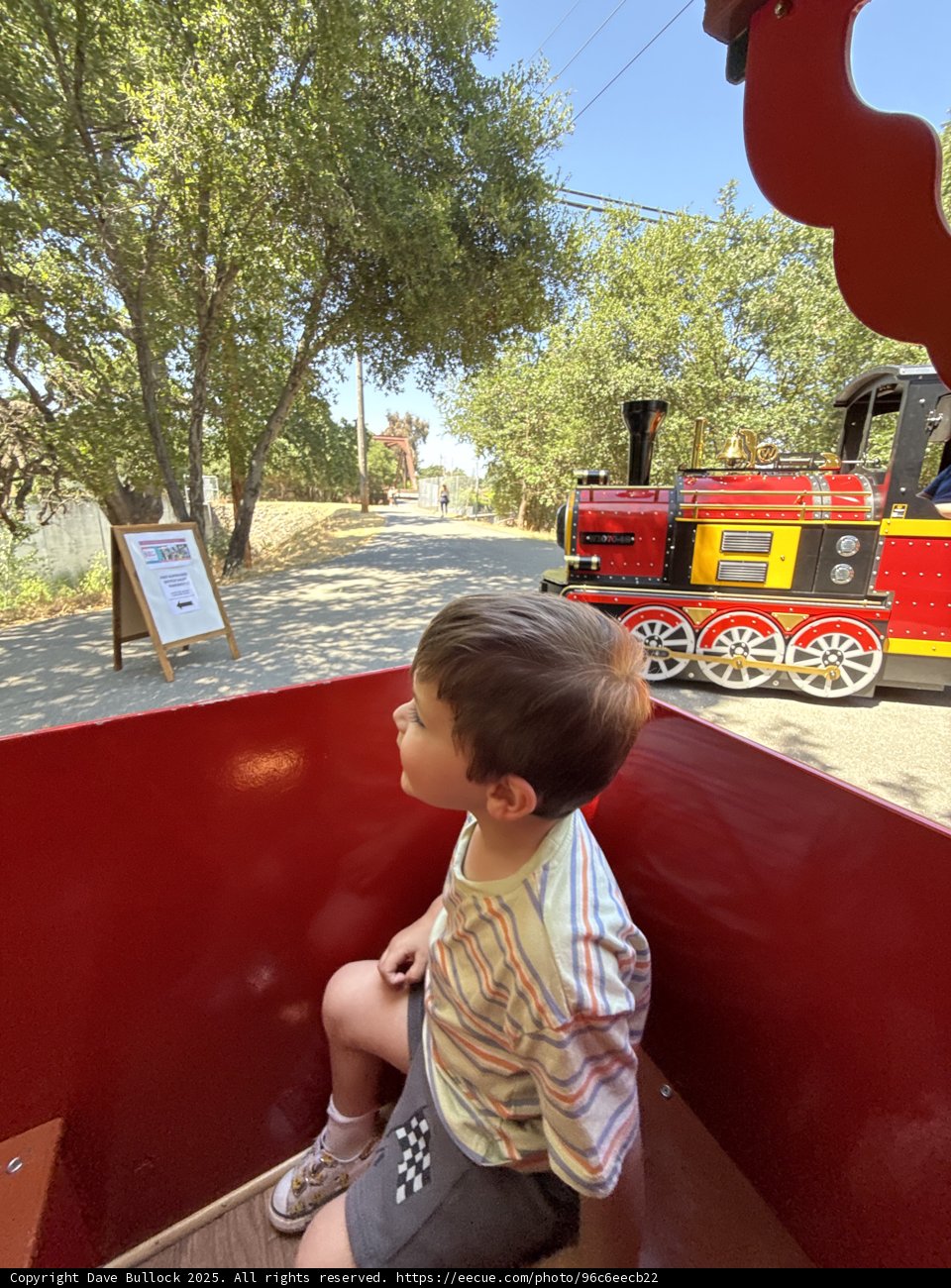 Summer Train Adventure