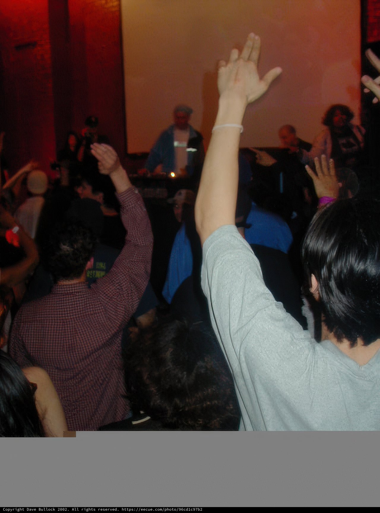 Nightclub Gathering