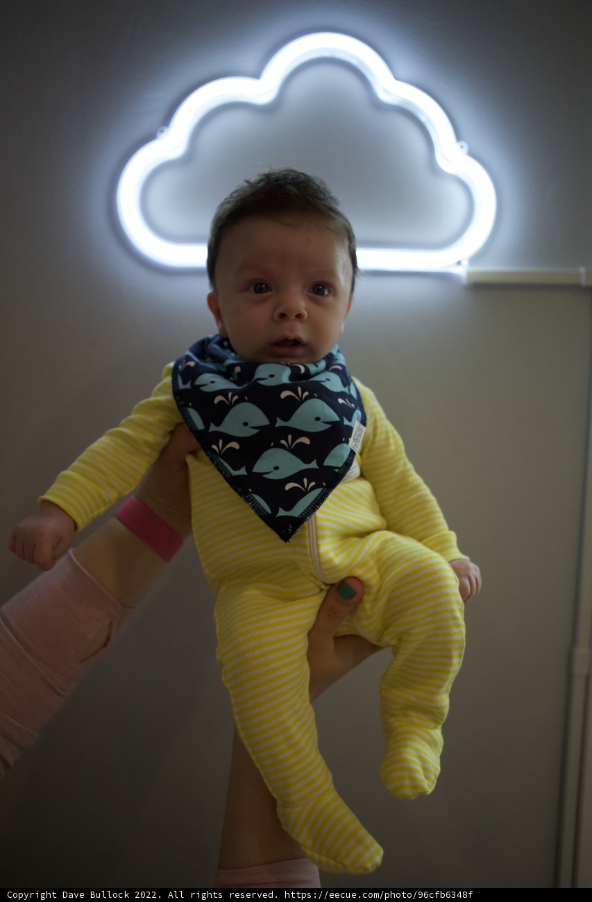 Baby Wesley: A Beacon in the Neon Clouds