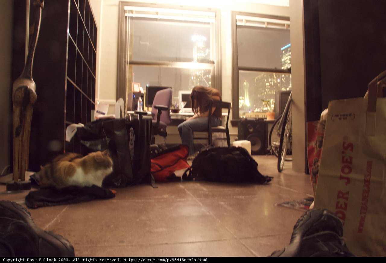 A Woman and Her Feline Friend