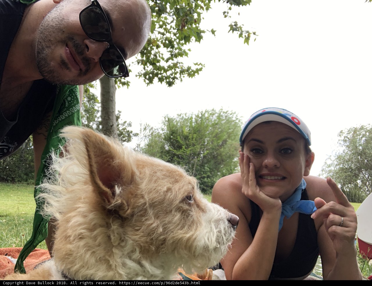 A Couple and Their Furry Companion Enjoying Nature Together
